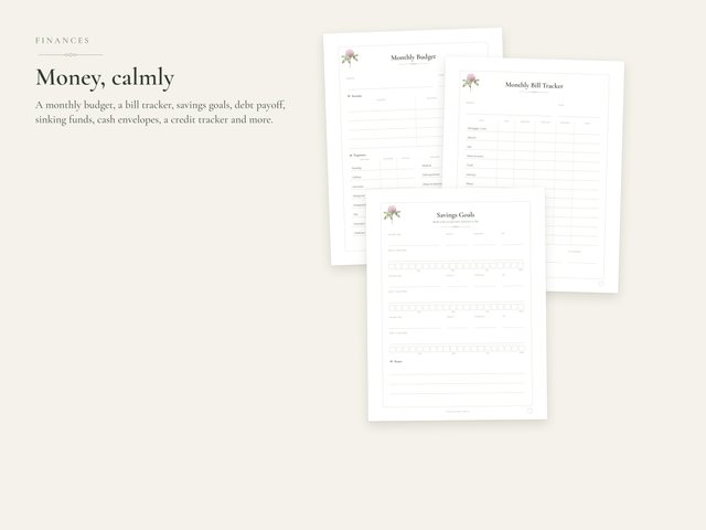 The Home & Family Binder: Money