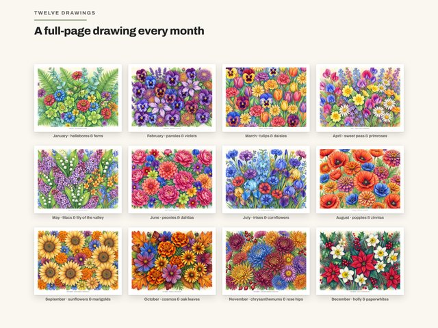 The 2027 Pencil Flower Calendar: Twelve drawings