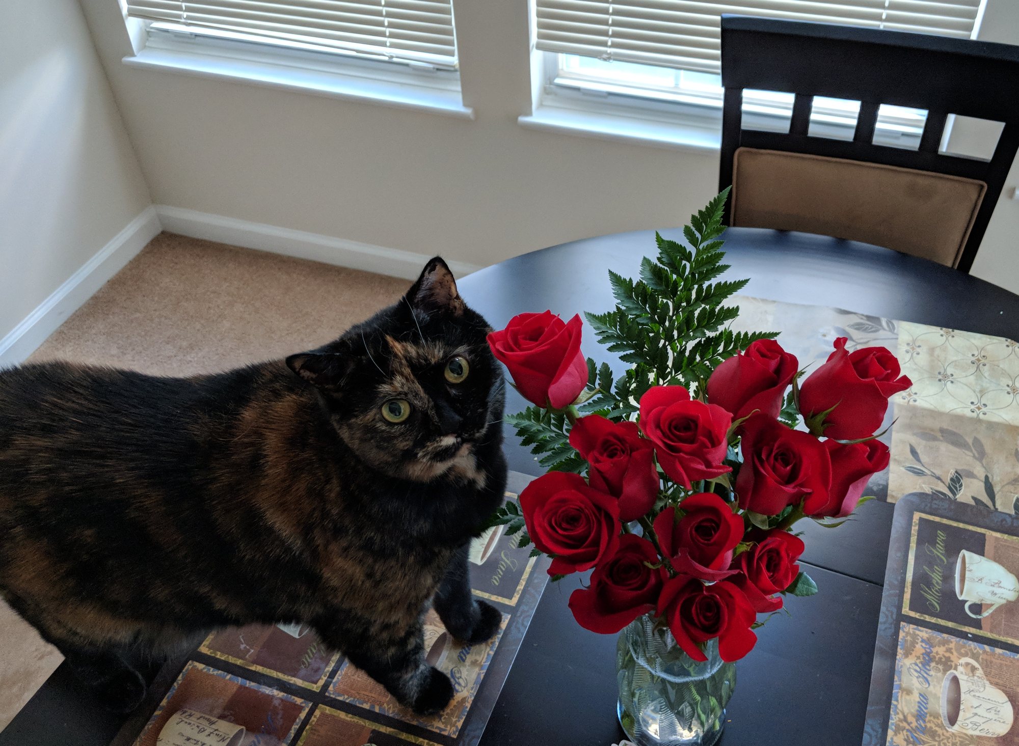 Risa, a tortoiseshell cat, standing on the dining table beside a vase of red roses and looking up at the camera